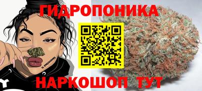 соль ск Гусев