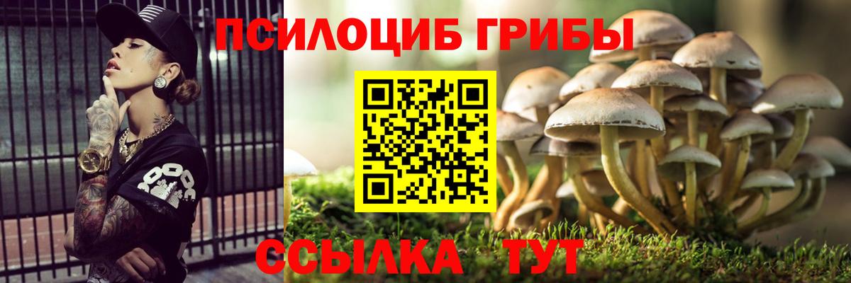 Химки  Псилоцибиновые грибы прущие грибы  Вход с VPN 